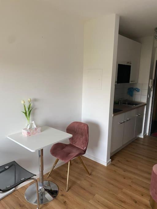 Schoene, Kleine, Gemuetliche Wohnung - Stadtmitte ไมนซ์ ภายนอก รูปภาพ